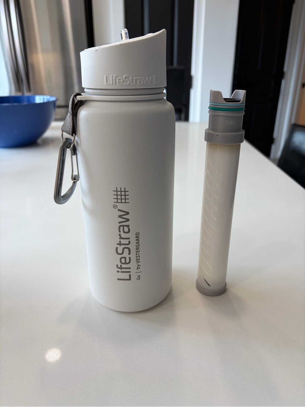 LifeStraw White Water Bottle with Filter Straw